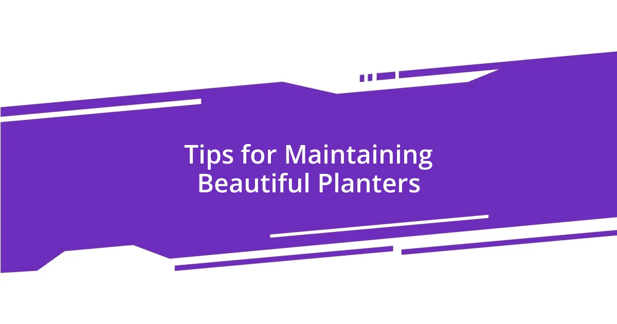 Tips for Maintaining Beautiful Planters